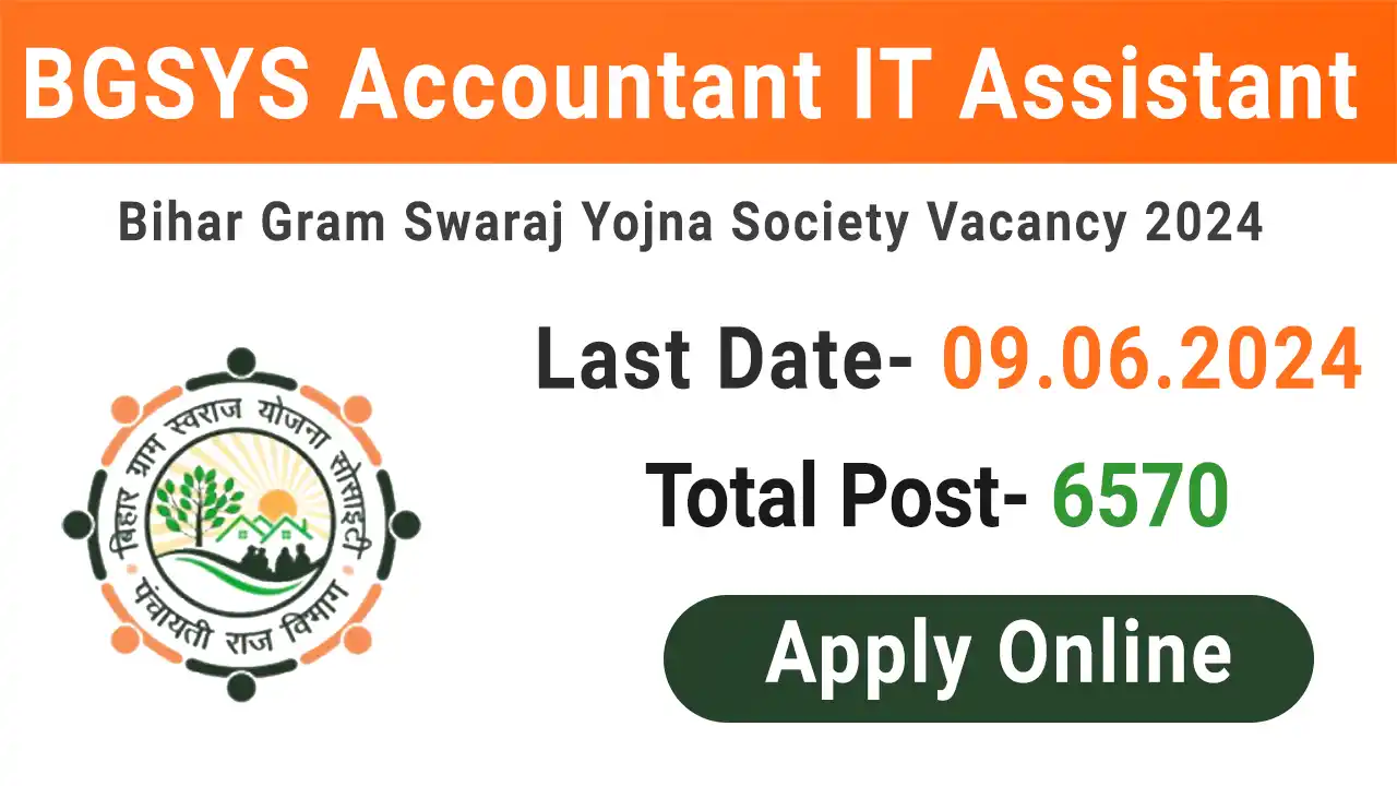 BGSYS Accountant IT Assistant Recruitment 2024