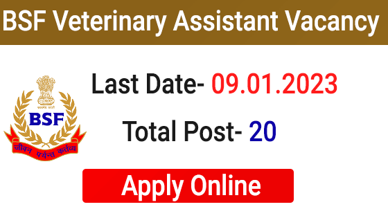 BSF Veterinary Assistant Surgeon